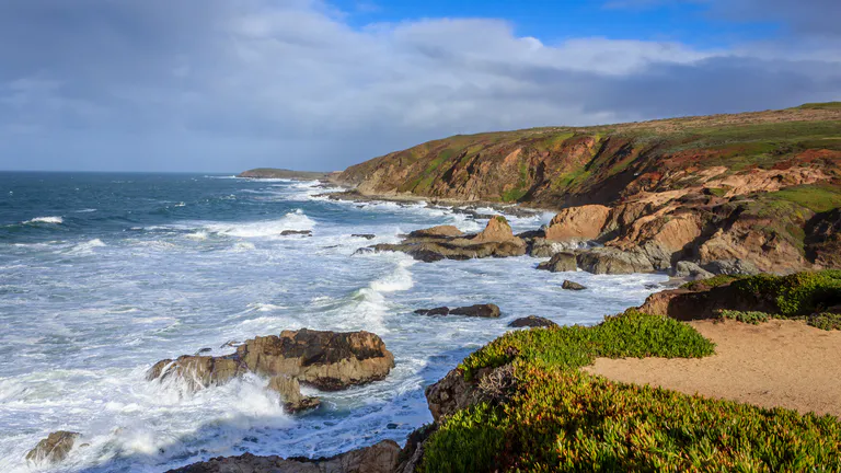 Bodega Bay